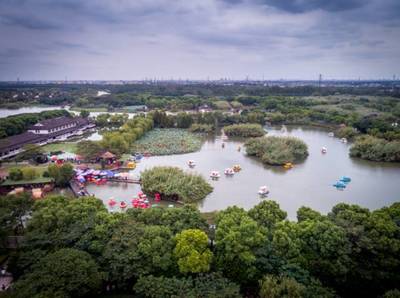 換一個角度,你會看到更驚艷的沙家浜_旅游_網