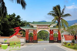 紅色海南 紅色六連嶺 海南的 井岡山