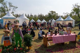 30天吸粉40萬，2019長興島郊野公園兩節(jié)圓滿閉幕，沙家浜旅游再掀熱潮