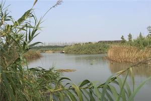 沙家浜風(fēng)景區(qū)全攻略 門票、地址、亮點(diǎn)與游玩路線一網(wǎng)打盡
