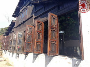 沙家浜慢走 一家人的水鄉(xiāng)時光漫記