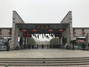 杭州周邊游 同里古鎮蘇州天頤溫泉沙家浜三日二夜自駕游